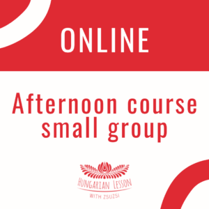 Online Afternoon Small Group Course (Special Offer)
