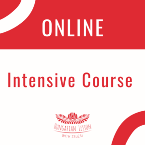 Intensive Course (1 week long - in person)